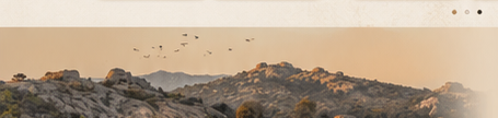 Granite hills and water of Jawai Dam